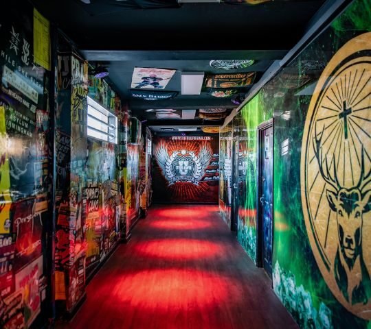 The Asylum
