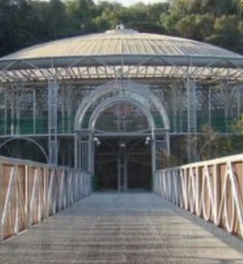 How to buy tickets for high-demand concerts