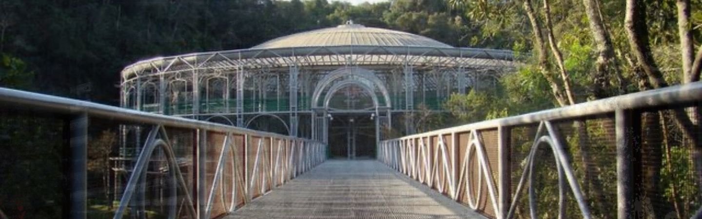 Top Venues for Rock Concerts in Curitiba: A Complete Guide