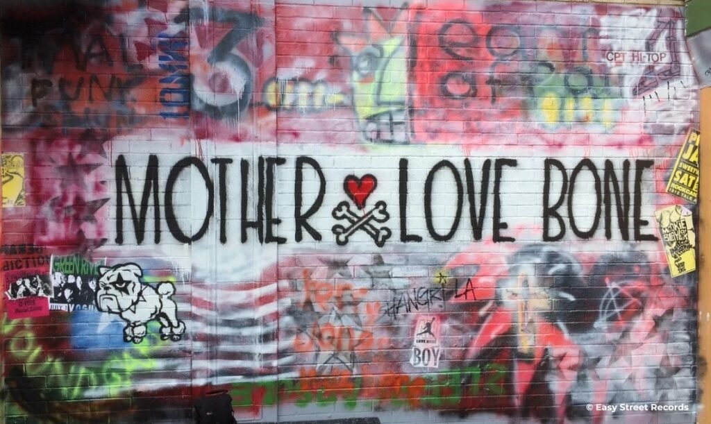 Easy Street Records - Record Store in Seattle - Travel2Concert